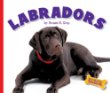 Labradors