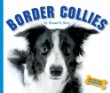 Border collies