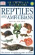 Reptiles and amphibians