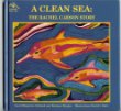 A clean sea : the Rachel Carson story : a biography for young children