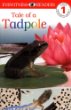 Tale of a tadpole