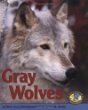 Gray wolves
