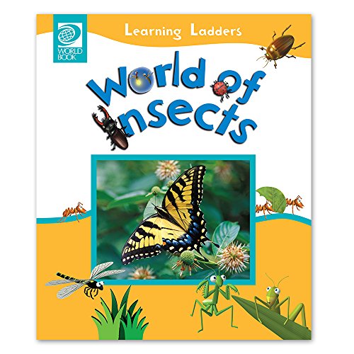 World of insects