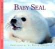 Baby seal