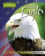 Bald eagles : a chemical nightmare