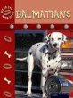 Dalmatians