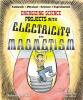 Energizing Science Projects With Electricity And Magnetism