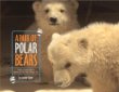 A pair of polar bears : twin cubs find a home at the San Diego Zoo