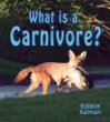 What is a carnivore?