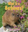 What is a herbivore?