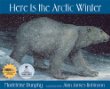 Here is the Arctic winter