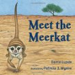 Meet the meerkat