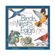Birds, nests, and eggs
