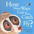 How many ways-- can you catch a fly?