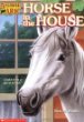 Horse in the house