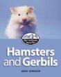 Hamsters and gerbils