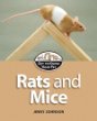 Rats and mice