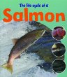 The life cycle of a salmon