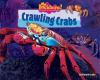 Crawling crabs