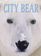 City bear