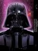 Star Wars :The Rise And Fall Of Darth Vader : the Rise and Fall of Darth Vader