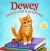 Dewey : there's a cat in the library!