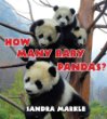 How many baby pandas?