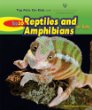 Top 10 reptiles and amphibians for kids
