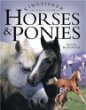 Horses & ponies