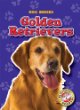 Golden retrievers