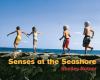 Senses at the seashore