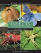 Insects and other invertebrates.