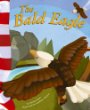 The bald eagle