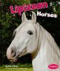Lipizzan horse