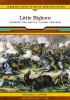 Little Bighorn : winning the battle, losing the war
