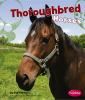 Thoroughbred horses