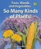 Trees, weeds, and vegetables-- so many kinds of plants!