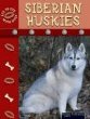 Siberian huskies