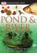 Eyewitness:  Pond & River