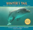 Winter's tail : how one little dolphin learned to swim again
