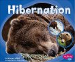 Hibernation