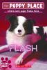 The Puppy Place #6: Flash / :