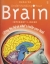 Understanding your brain