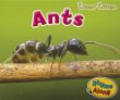 Ants