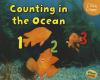 Counting in the ocean