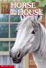 Animal Ark #26: Horse In The House