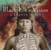 Black Elk's vision : a Lakota story