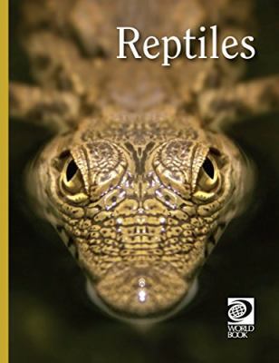 Reptiles.