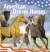 American dream horses