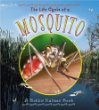 The life cycle of a mosquito